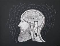 Решетина Александра. 17 лет Цитата. 2021 г. Бумага, маркер, линер. Преподаватель  Ю.В.Ефимова